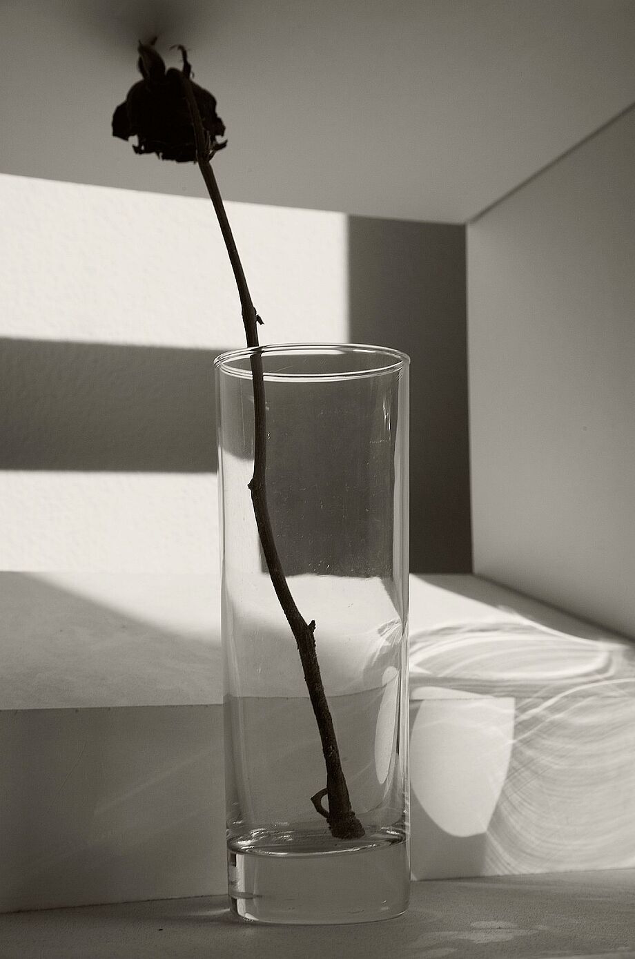 Das Bild zeigt eine Blume in einer transparenten Vase. Sie steht sehr beengten Raum. Im Hintergrund ist ein Bett zu erkennen.