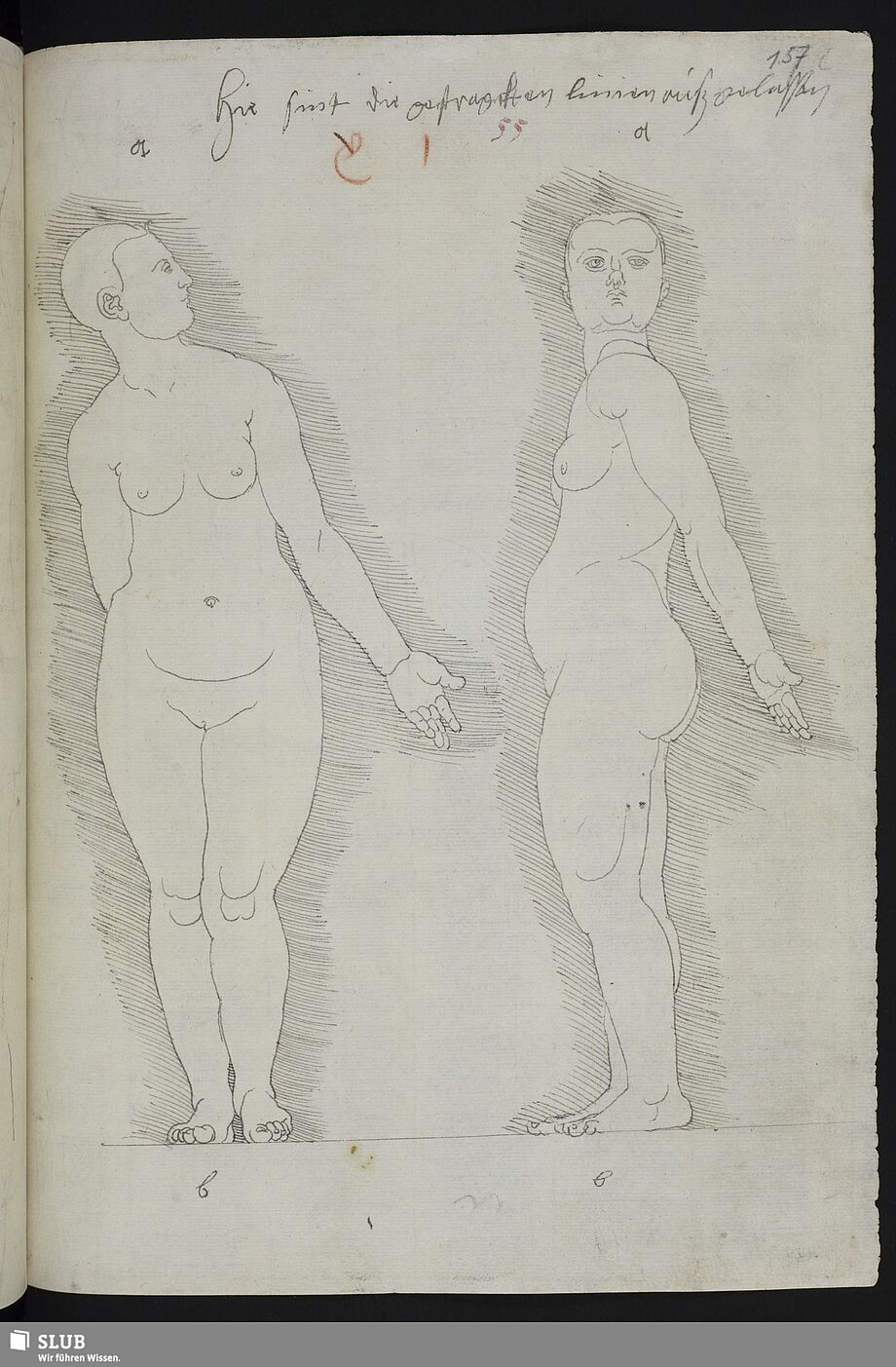 Die Abbildung zeigt die Skizze zweier Frauen. Einmal ist sie seitlich zu sehen und einmal frontal. 